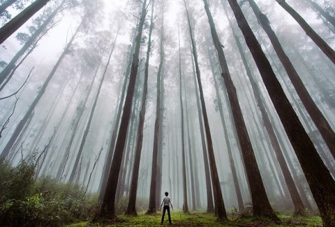  25 bức ảnh “nghẹt thở” cho thấy con người thật sự nhỏ bé giữa thiên nhiên