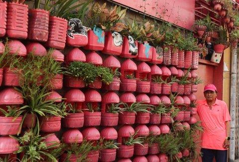 Căn nhà màu hồng của người đàn ông Sài Gòn