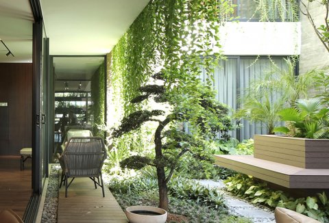 Ngôi nhà phố hướng Tây có hai khu vườn treo