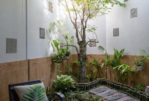 Những lỗi cần tránh khi thiết kế giếng trời