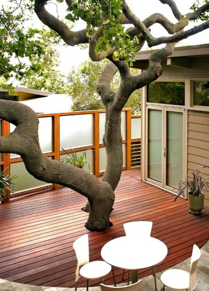 12 ý tưởng hàng rào thú vị cho những ai yêu thích không gian mở nhưng vẫn muốn riêng tư