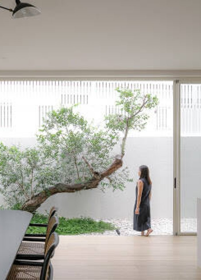 Biệt thự 400m2 dành cho vợ chồng trẻ thường xuyên di chuyển giữa các khu nghỉ dưỡng