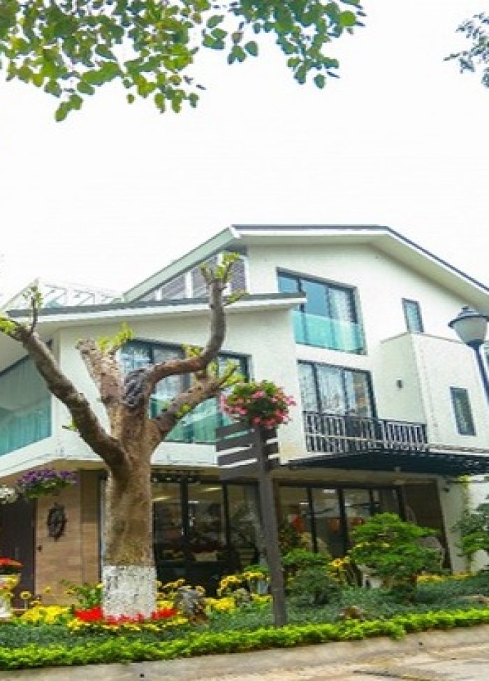 Cặp vợ chồng trẻ ở Hưng Yên “bỏ phố về quê” làm biệt thự vườn đẹp hiếm có