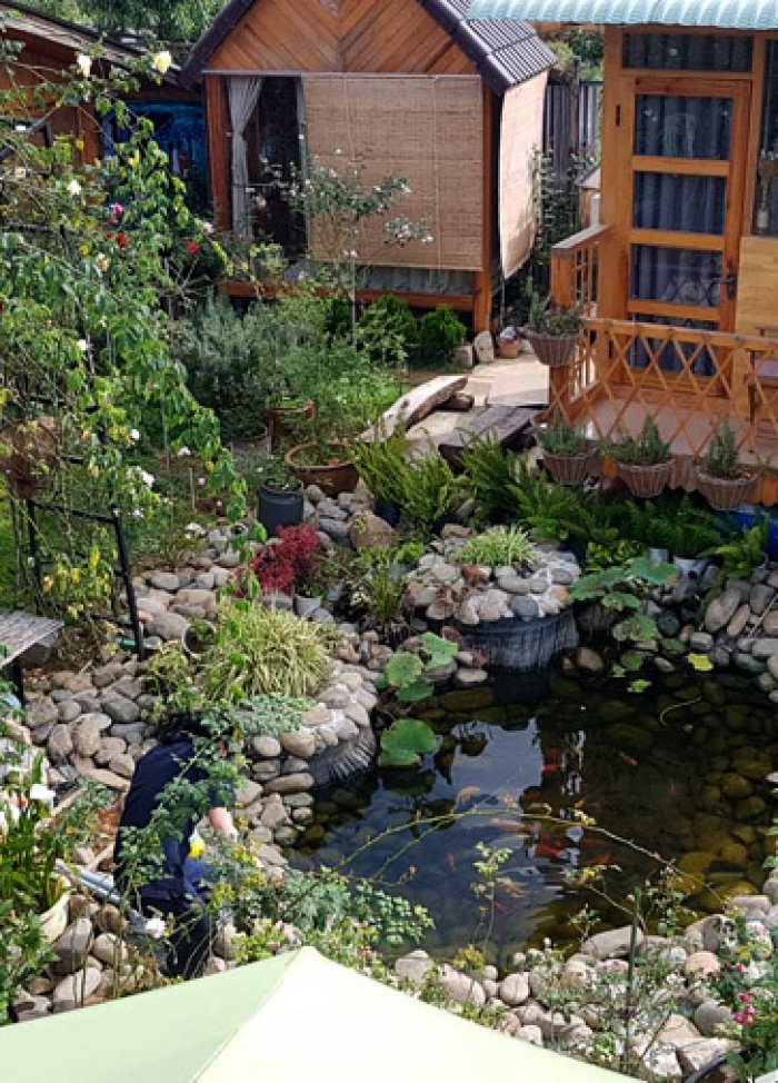 Gia đình ở Đà Lạt sống trong nhà gỗ giữa vườn hồng 1.000 m2