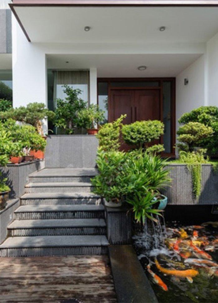  Những ngôi nhà tươi vui nhờ hồ cá trong nhà