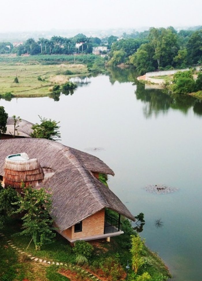 Ngôi nhà hình chiếc lá giữa rừng cây ở ngoại thành Hà Nội