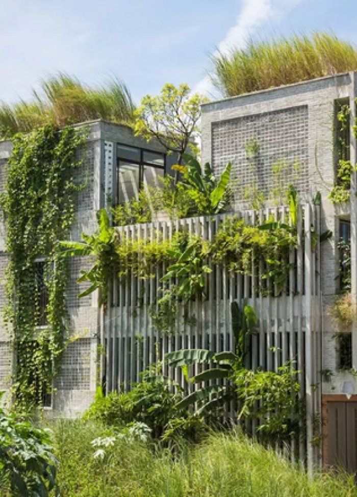 Trông xa tưởng nhà bỏ hoang, lại gần mới biết là văn phòng có kiến trúc thú vị nhất nhì Đà Nẵng