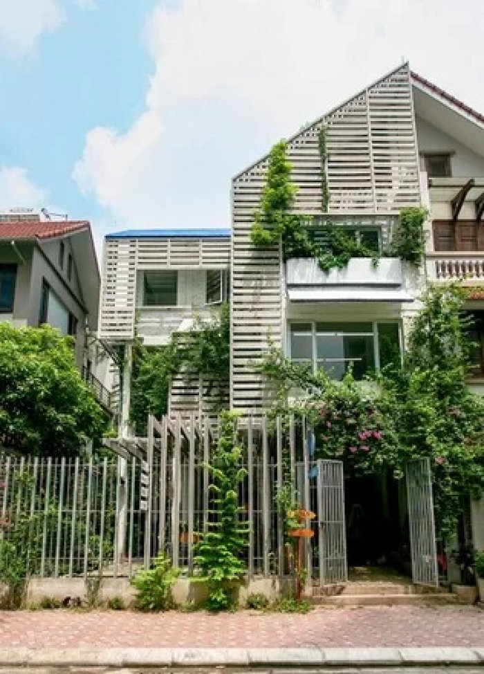 Cải tạo nhà 3 tầng thành xanh mướt với 500 triệu