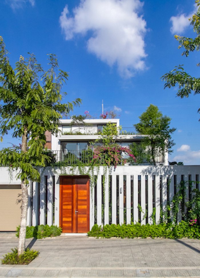 Stepping Green House - HGAA: không gian sống đô thị gần gũi với thiên nhiên