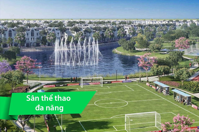 san-the-thao